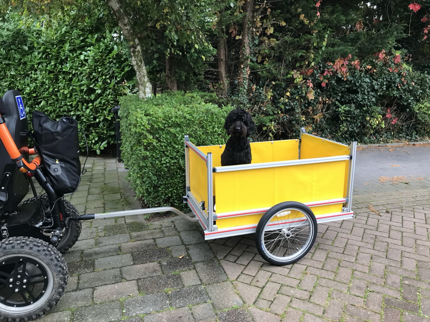 Gele Trahera maatwerk fietsaanhanger met hond